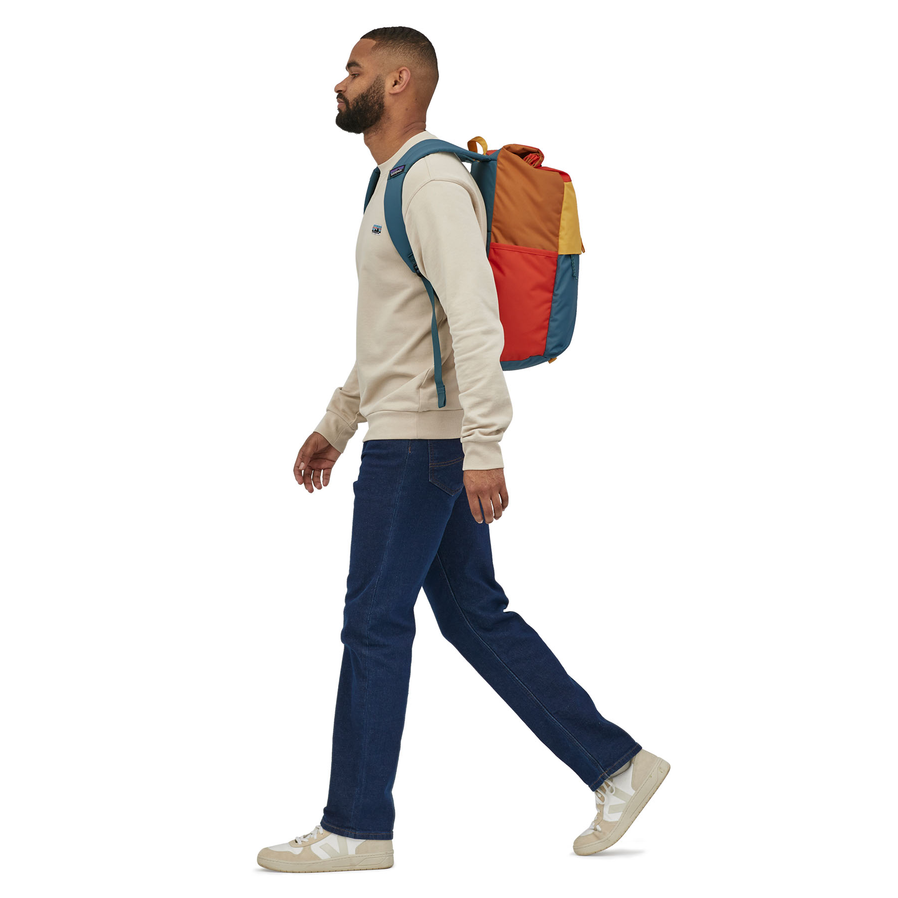 Patagonia Arbor Roll Top Pack 30L 