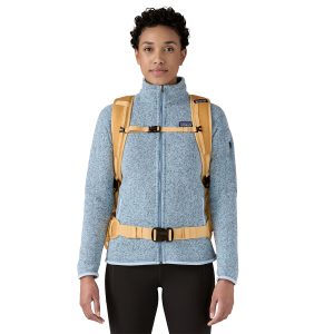 WBS25_49307_PFGD_BF2